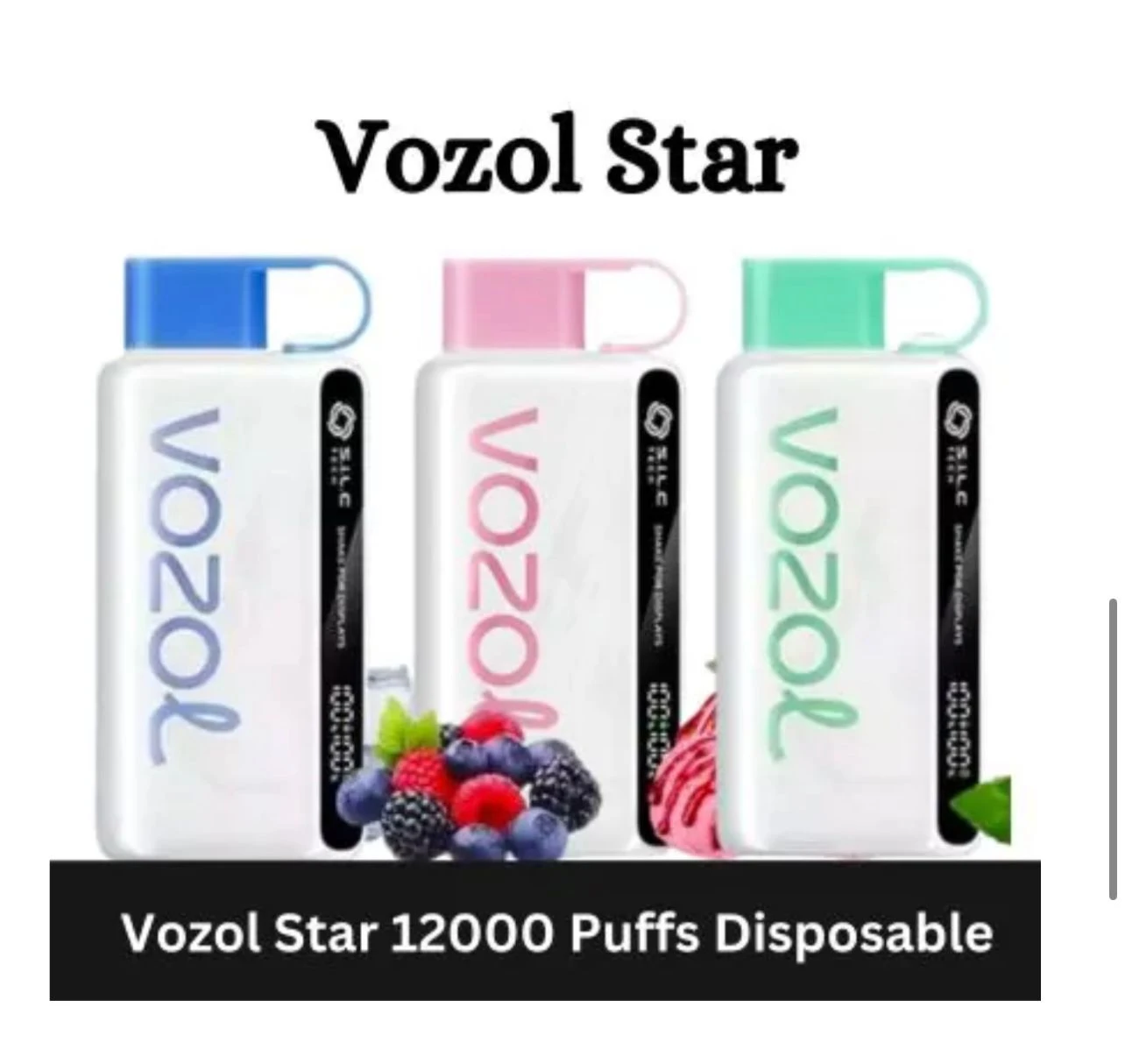 Vozol Star 12000 Puffs Disposable Vape